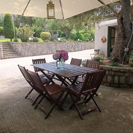 Nino Petrelli Appartement