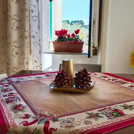 Nino Petrelli Appartement