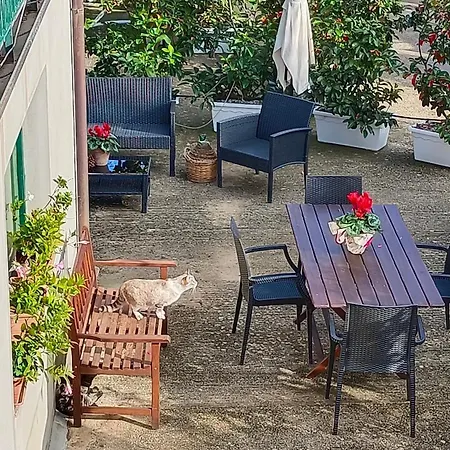 Nino Petrelli Appartement